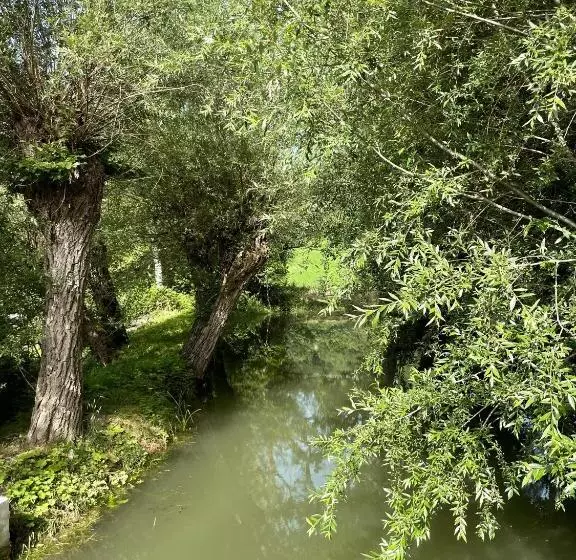 ベッドアンドブレックファースト Le Farine Del Maestro