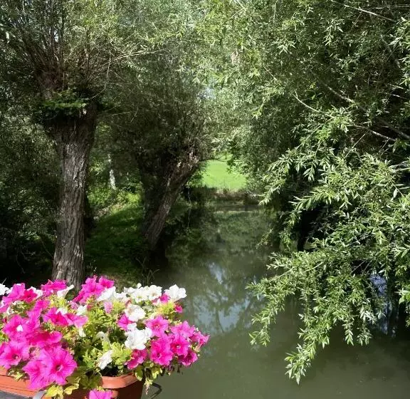 ベッドアンドブレックファースト Le Farine Del Maestro