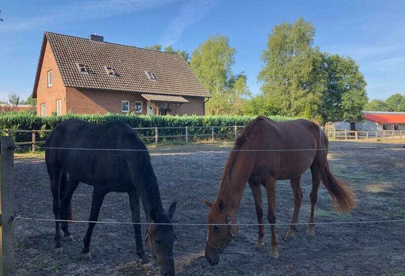 Charmantes Bed & Breakfast In Luhmühlen