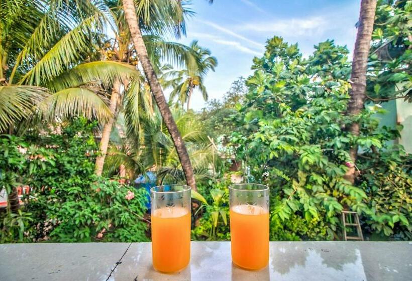 Hotel The Baga Domingo Tbv