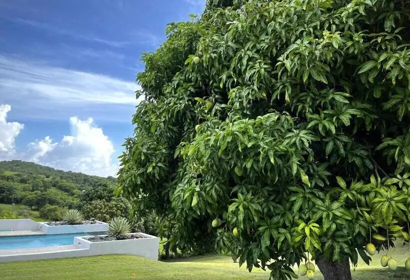 پانسیون Lejos Eco Retreat