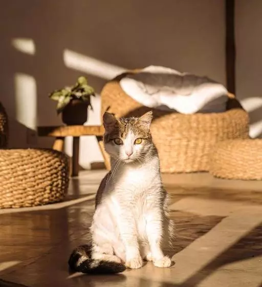 ペンション Pousada Nossa Casa Cumuruxatiba