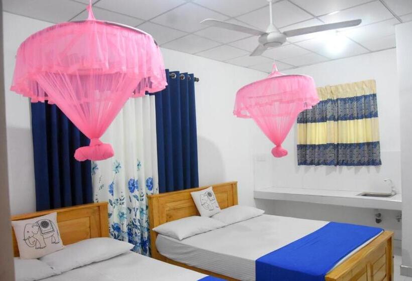 پانسیون Lion Home Stay Anuradhapura