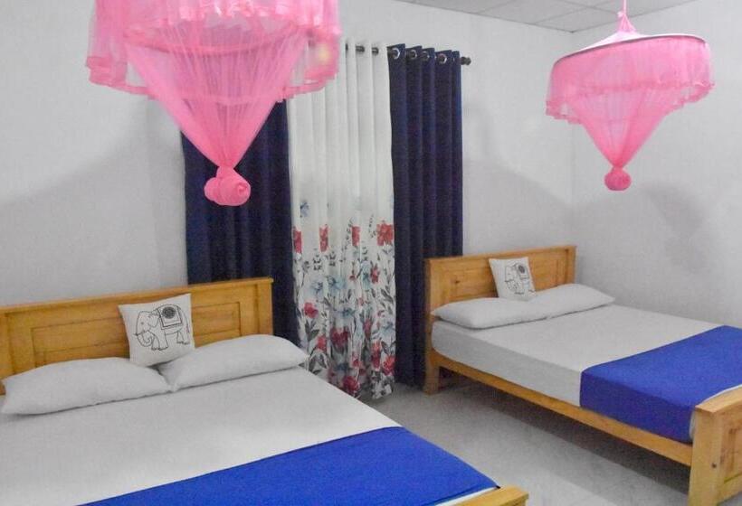 پانسیون Lion Home Stay Anuradhapura