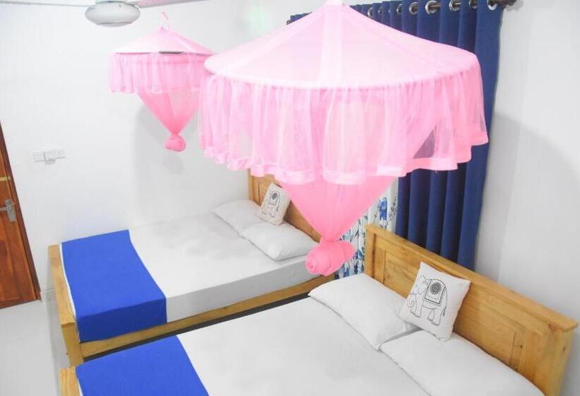 پانسیون Lion Home Stay Anuradhapura