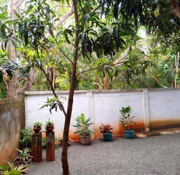 پانسیون Lion Home Stay Anuradhapura