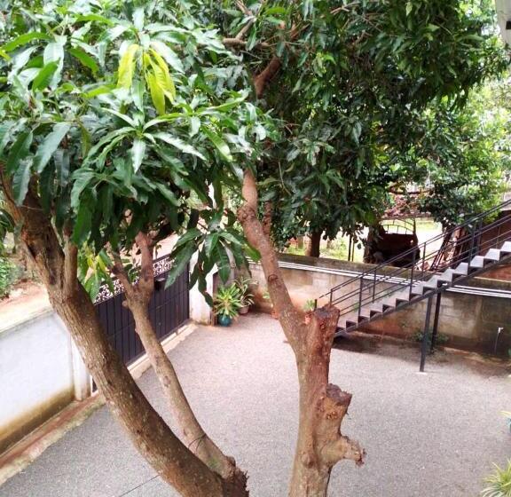 پانسیون Lion Home Stay Anuradhapura