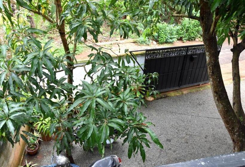 پانسیون Lion Home Stay Anuradhapura