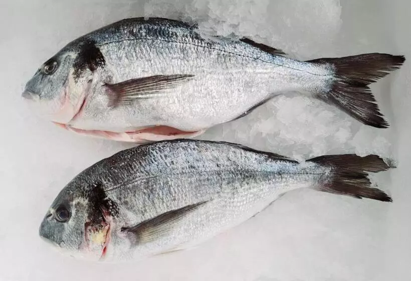 Hotelli Kaštieľ Ottlýk