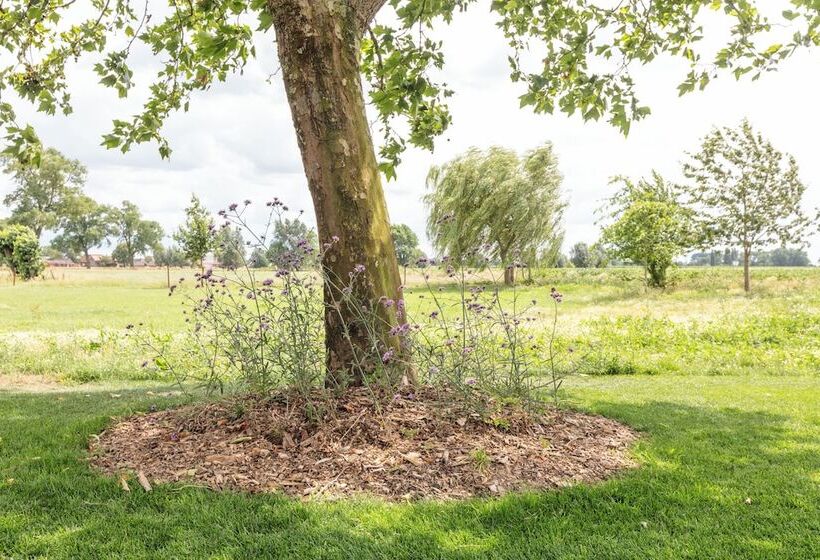 Het Eycken Huys Bed & Breakfast