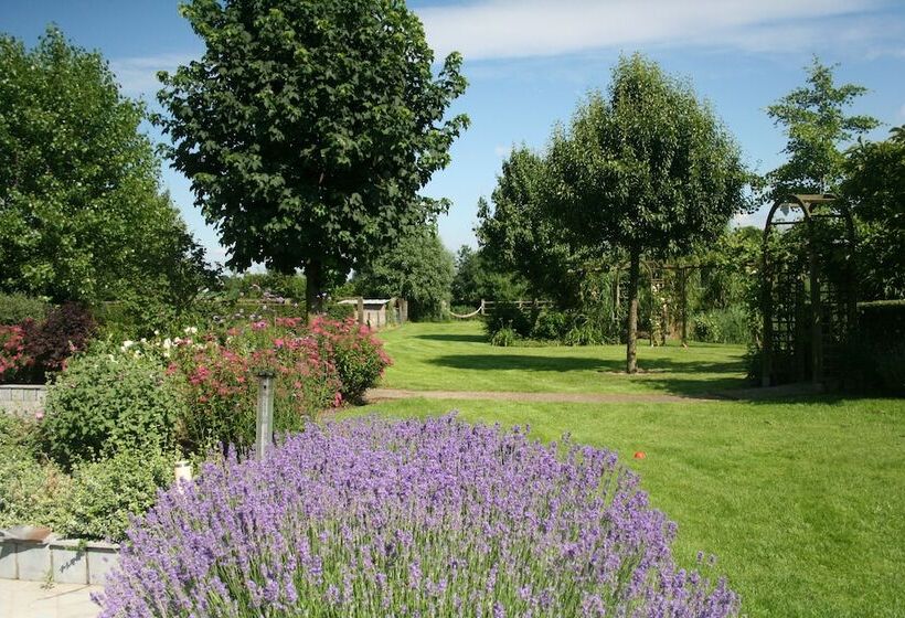 Het Eycken Huys Bed & Breakfast