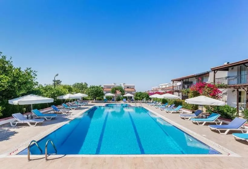 هتل Citrus Tree Gardens