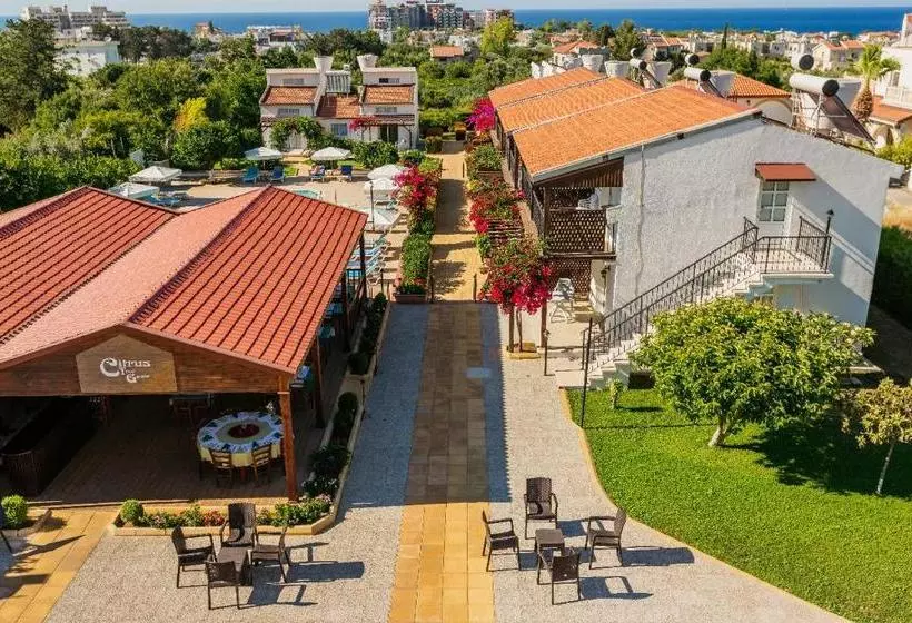 هتل Citrus Tree Gardens