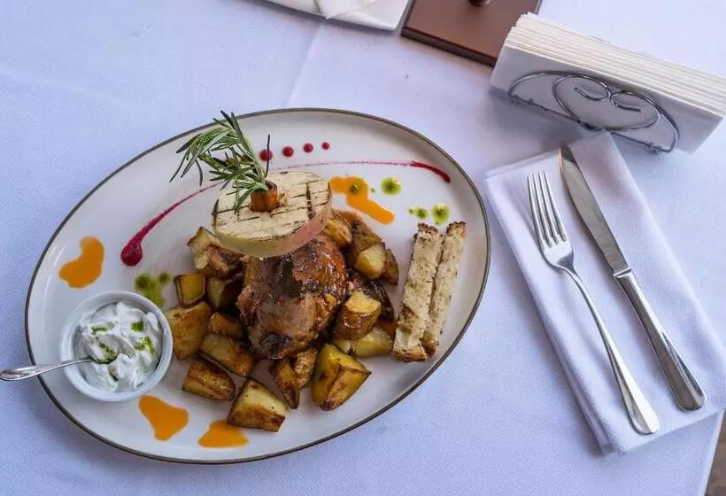 Hotel Conacul Archia