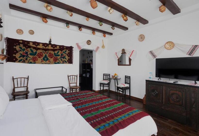 هتل Conacul Archia