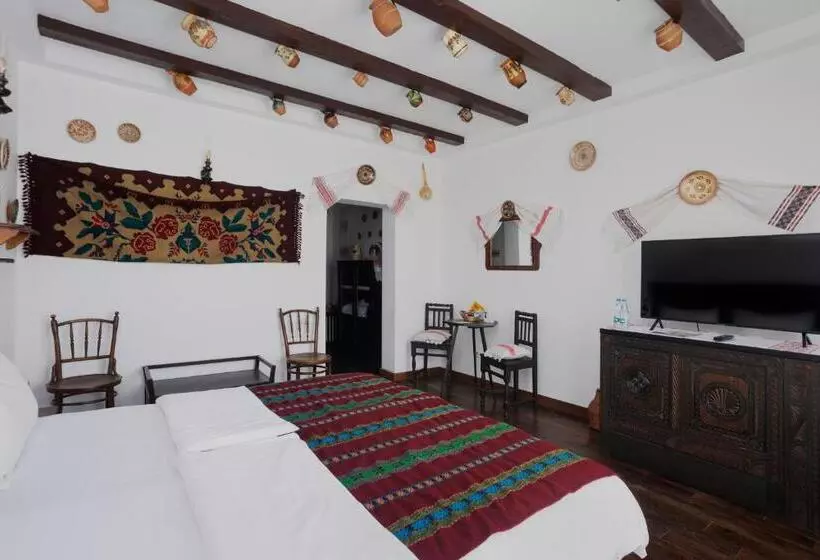 Hotel Conacul Archia