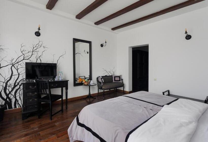 هتل Conacul Archia