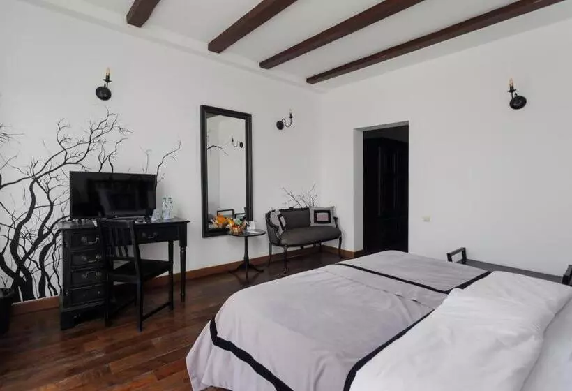 Hotel Conacul Archia