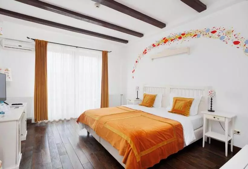 Hotel Conacul Archia