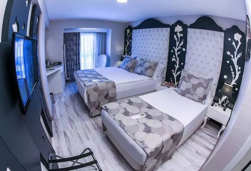 Hotel Demonti