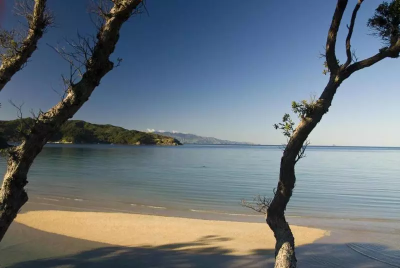 酒店 Earthsong Lodge