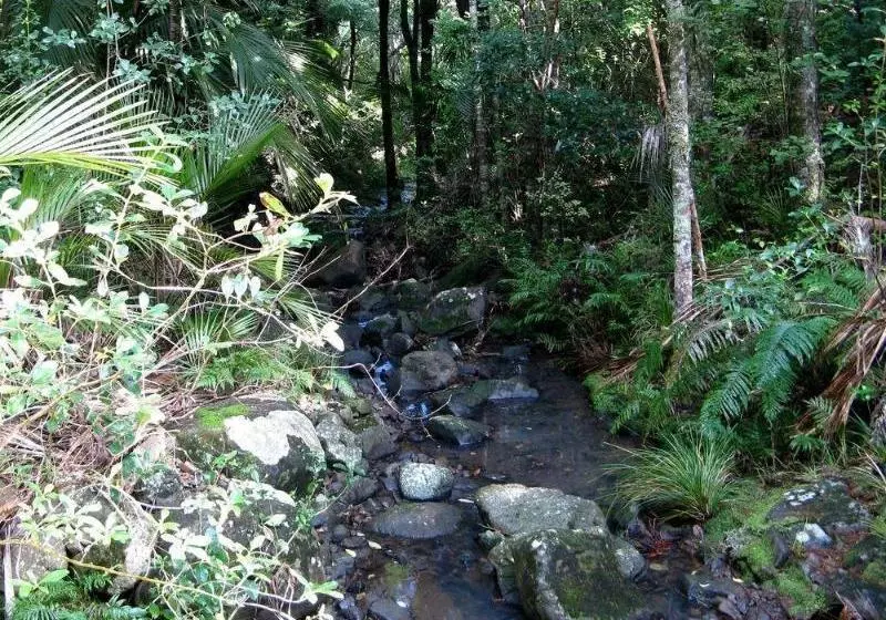 酒店 Earthsong Lodge