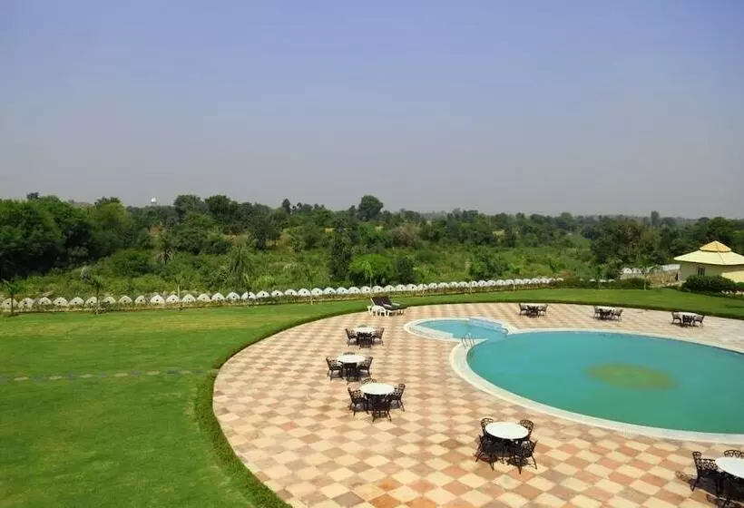 Hotel Raj Mahal The Palace