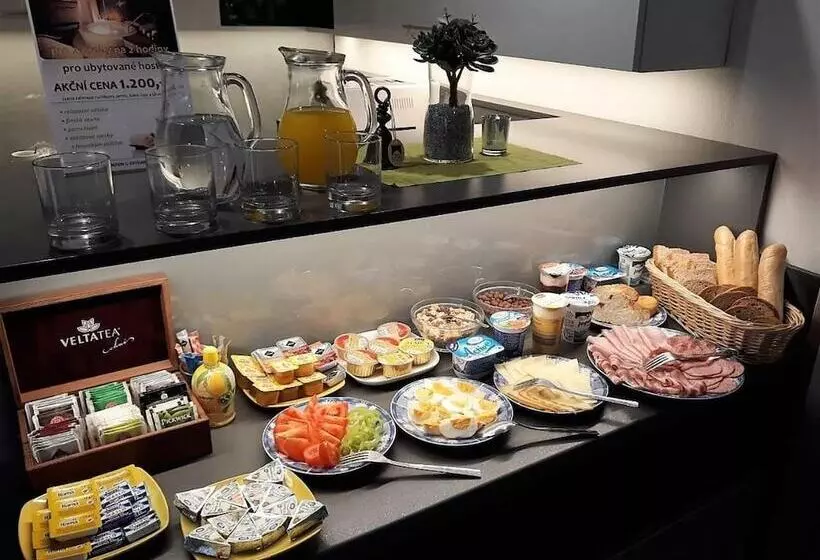 ホテル Wellness Penzion U Grygarů