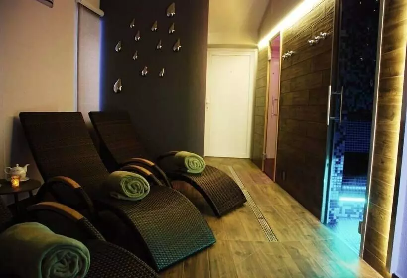 ホテル Wellness Penzion U Grygarů