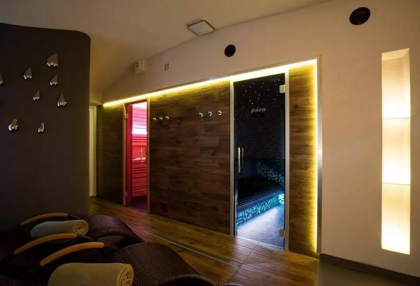 ホテル Wellness Penzion U Grygarů