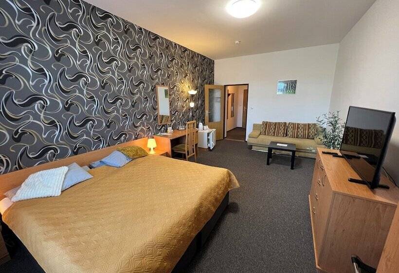 فندق Wellness Penzion U Grygarů