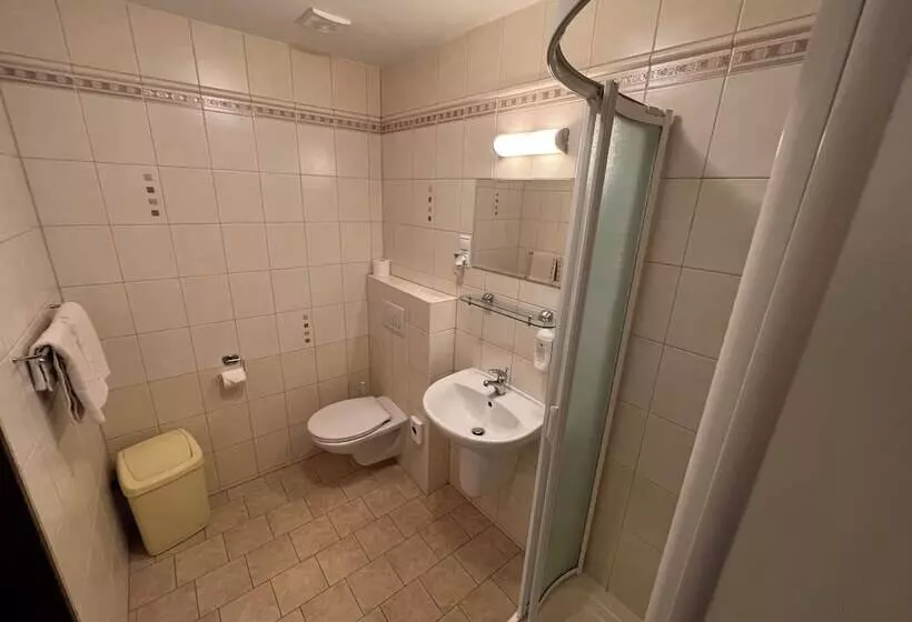 ホテル Wellness Penzion U Grygarů