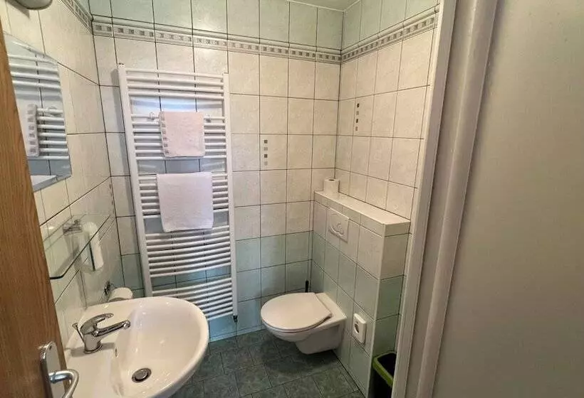 ホテル Wellness Penzion U Grygarů