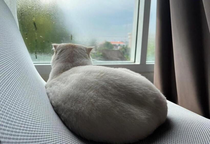 Christella Hotel Laemchabang