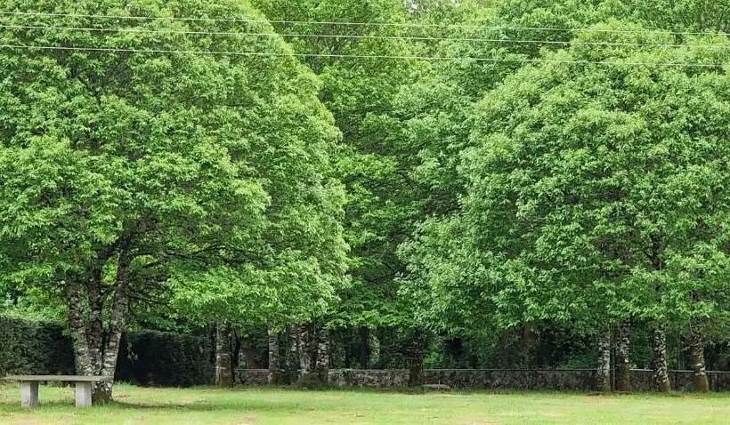 Finca La Cuevona Del Camino Guitiriz