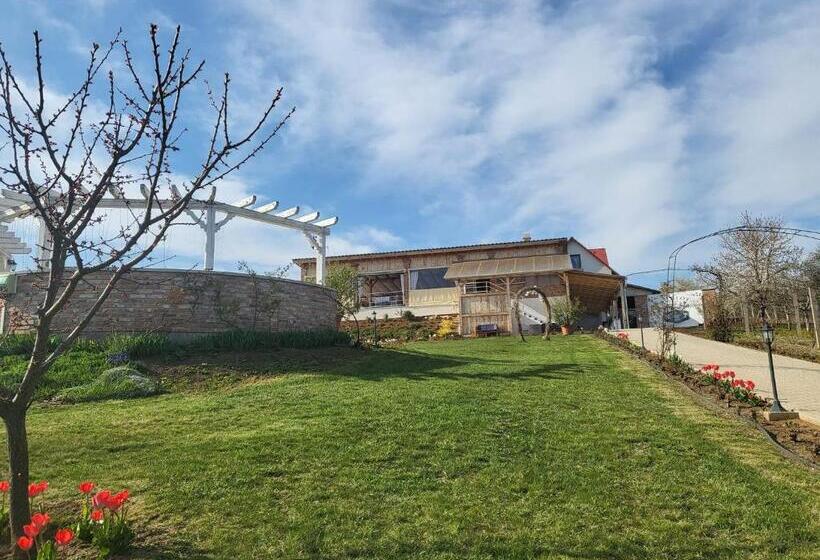 Merlot Borhotel és Látványpince