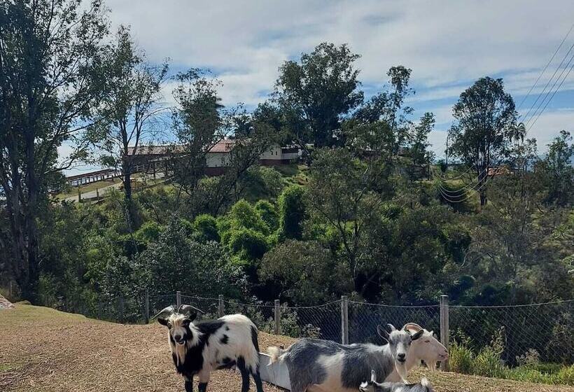 Отель Alpes Da Fazenda