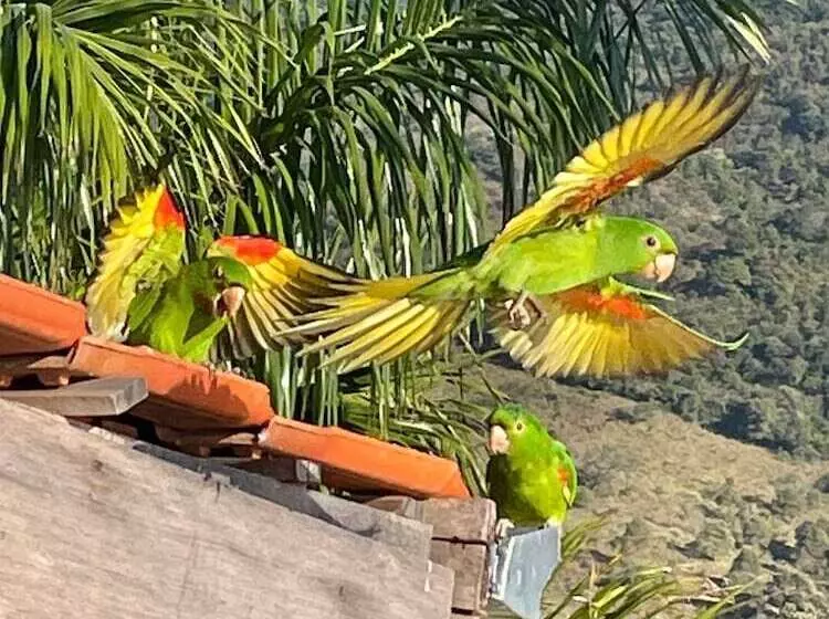 Hotelli Alpes Da Fazenda