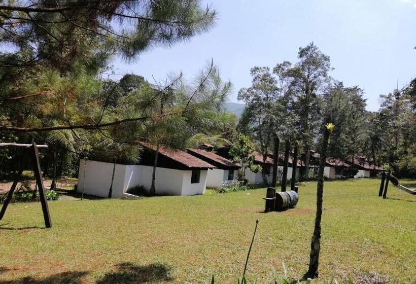 هتل Posada Montaña Del Quetzal
