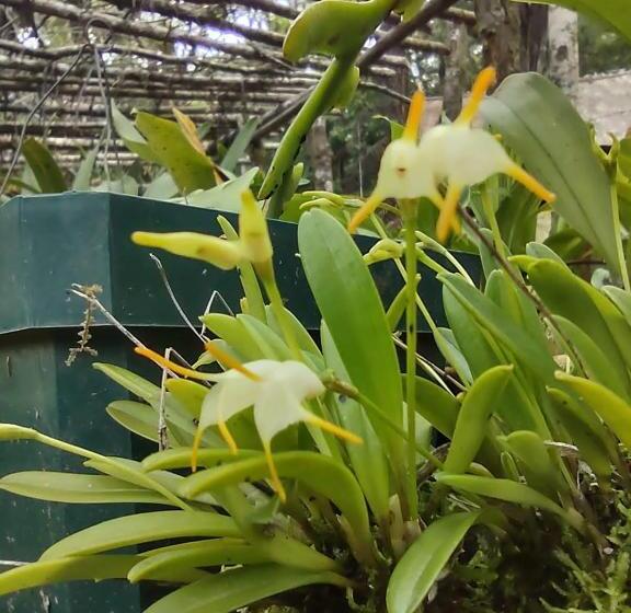 هتل Posada Montaña Del Quetzal