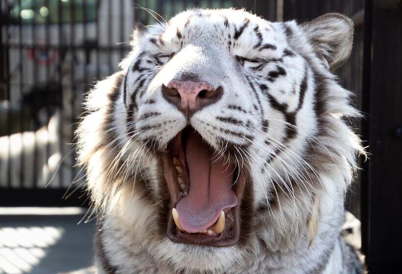 בית מלון כפרי Toyoko Inn Kasukabeeki Nishiguchi