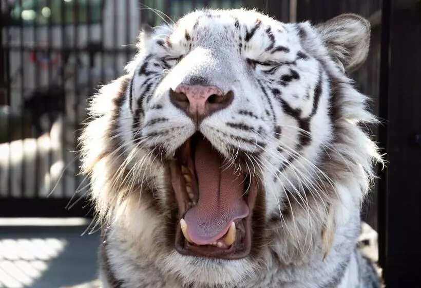 Hotelli Toyoko Inn Kasukabeeki Nishiguchi