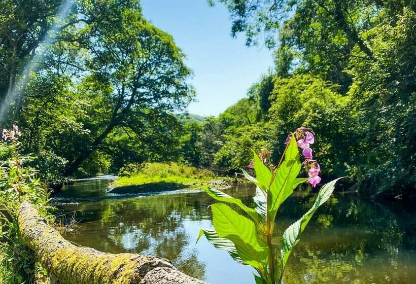 منتجع Notter Bridge Holiday Park