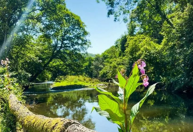 Lomakeskus Notter Bridge Holiday Park