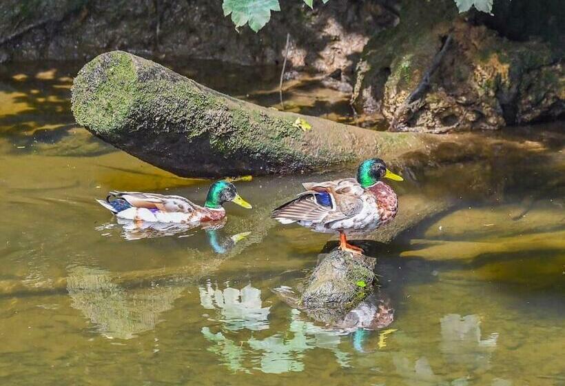 منتجع Notter Bridge Holiday Park