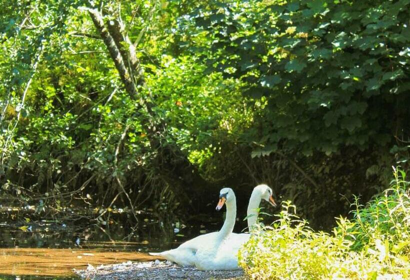 منتجع Notter Bridge Holiday Park