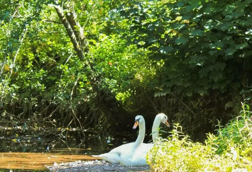 Lomakeskus Notter Bridge Holiday Park