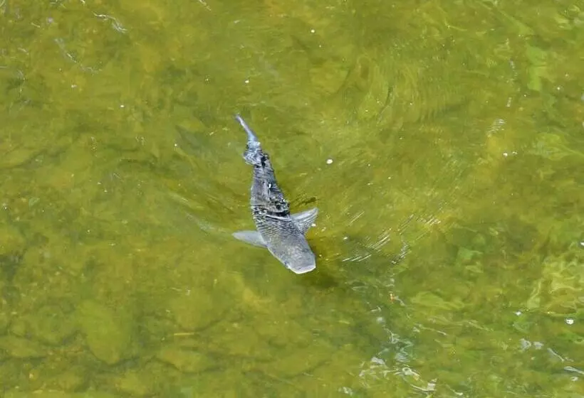 Lomakeskus Notter Bridge Holiday Park