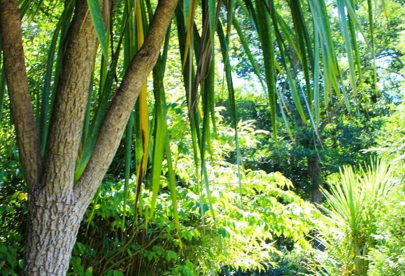 منتجع Notter Bridge Holiday Park