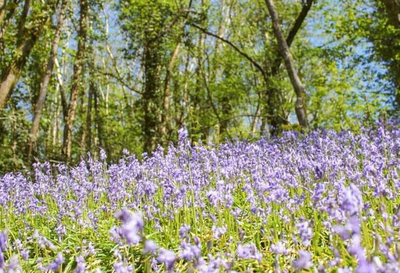 منتجع Notter Bridge Holiday Park